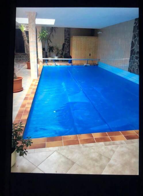 Penthouse Bernd Im Waldschloesschen Direkt Am See Wendisch Rietz Bagian luar foto